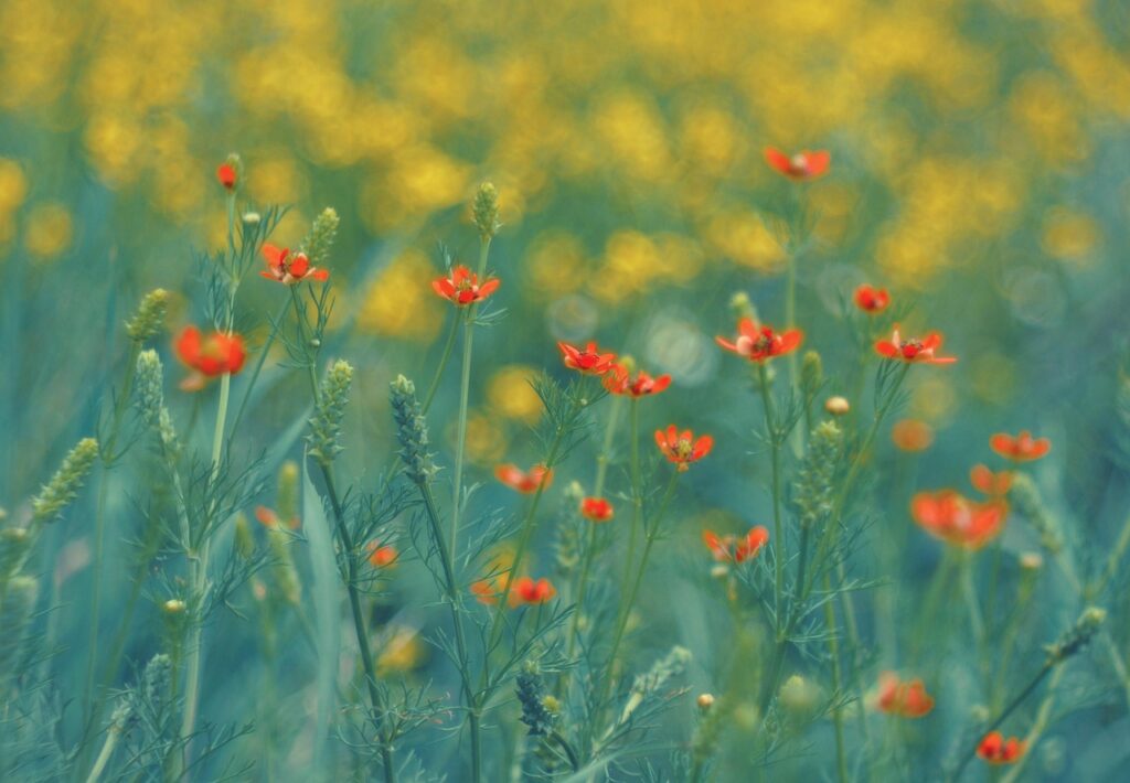 夏の体臭ケアにおすすめのお試しセットは？