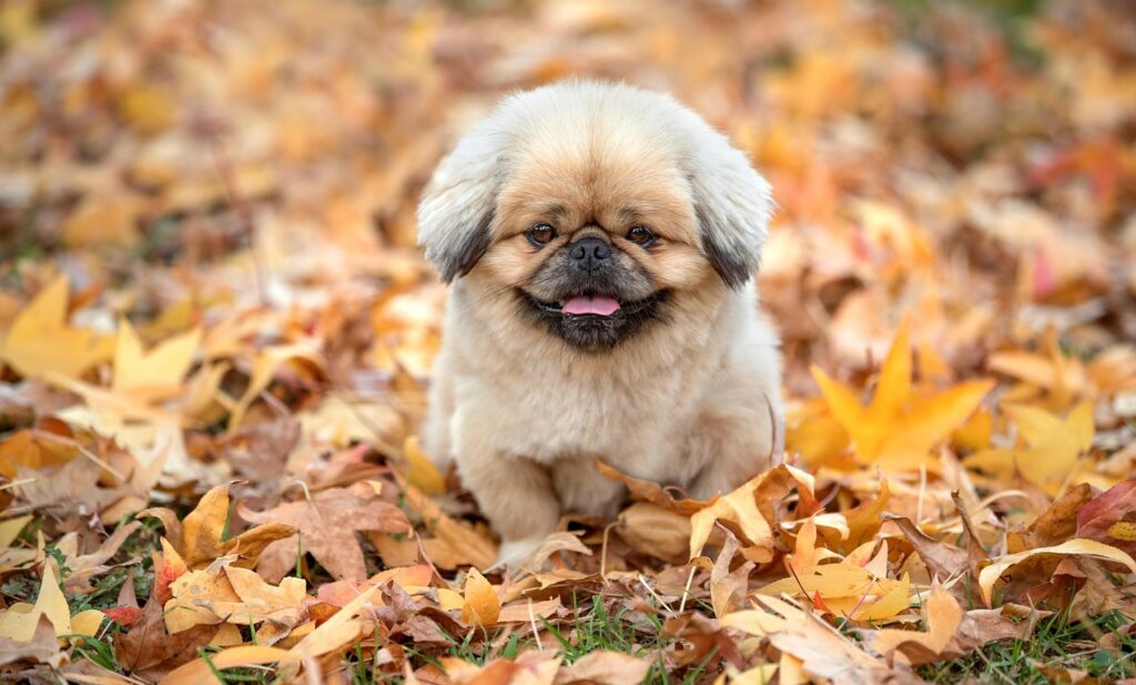 汗臭い悩みを解決する用レビュー高評価の商品は？