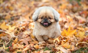 汗臭い悩みを解決する用レビュー高評価の商品は？