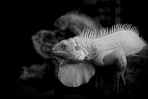 汗臭い悩みを解消する用メントール配合の効果的な対策は？