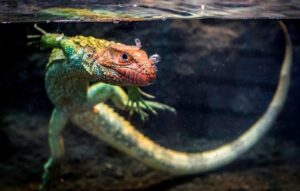 夏に最適な消臭抗菌タンクトップの選び方は？