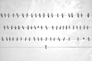 汗の匂いと恋愛が与える印象とは？