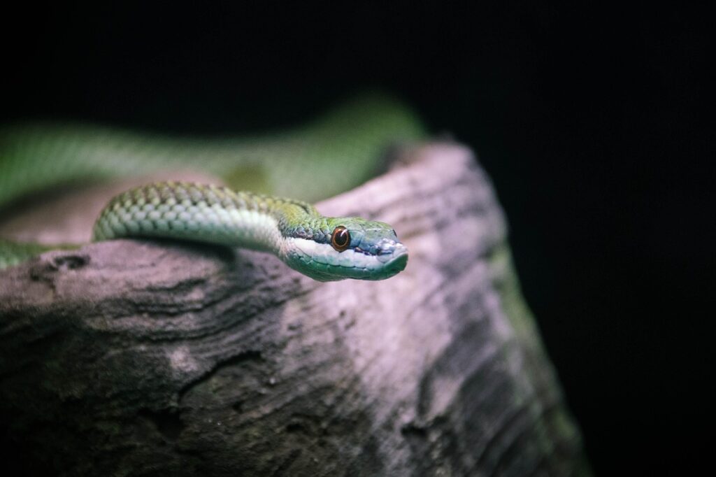 加齢臭を気にする女性の40代におすすめの対策は？