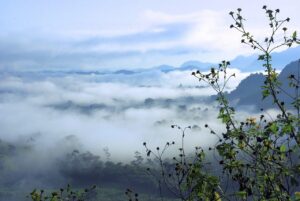 汗染みを防止するための服の黄ばみ対策は？