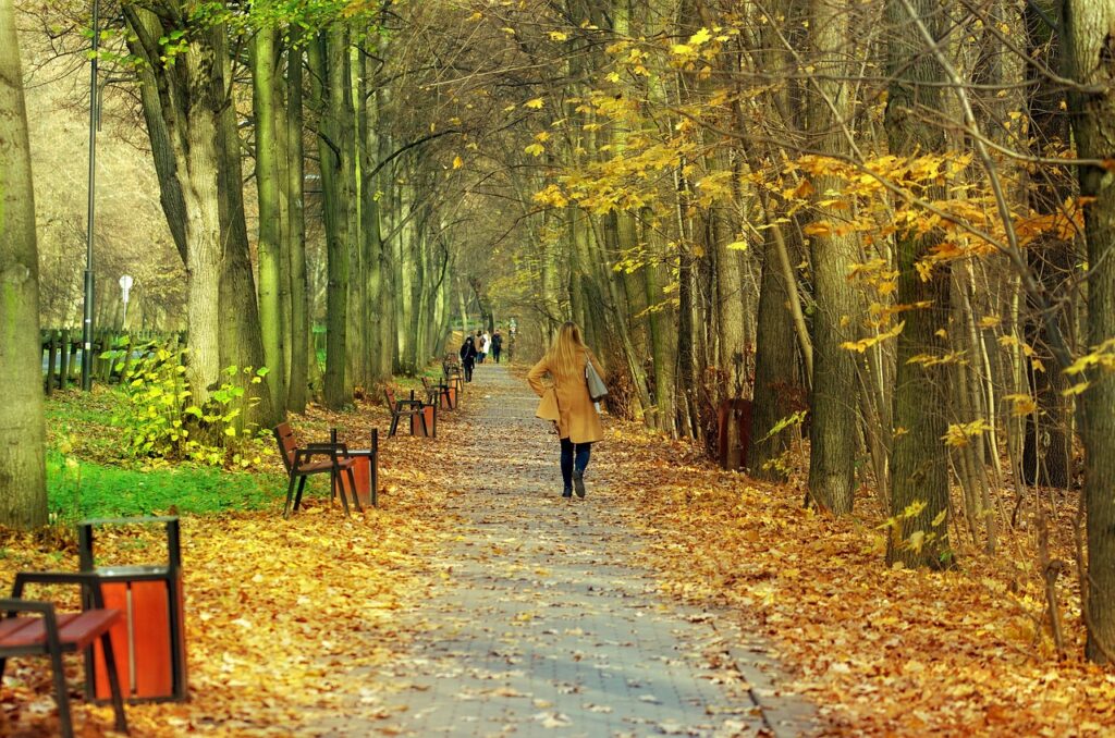 汗臭いのは鉄分不足が原因なのか？