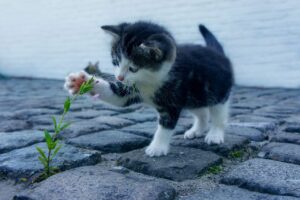 ワキ汗の臭いは女性にとっての悩み、原因は何なの？
