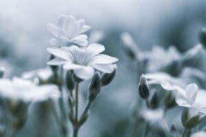デリケートゾーンのニオイが気になる時、病院に行くべき？